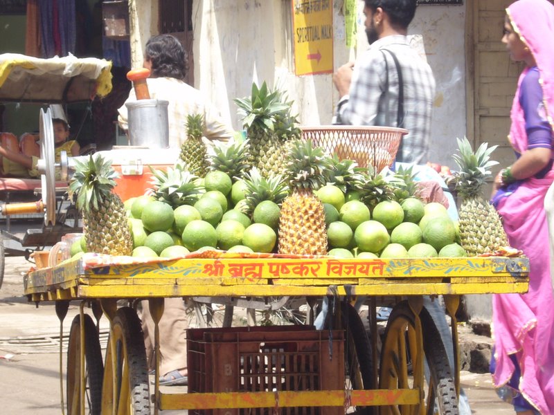 Travel - India - Rajasthan - Pushkar - Streets and People